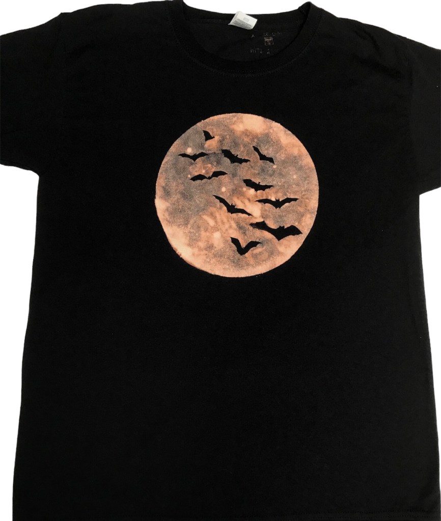 bat silhouette flying on the moon